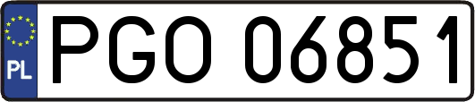 PGO06851