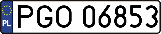 PGO06853