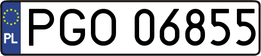 PGO06855