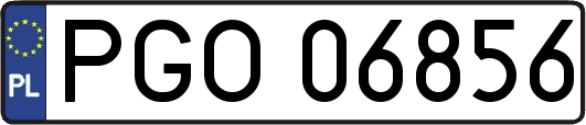 PGO06856