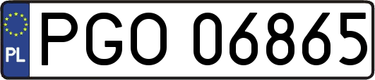 PGO06865