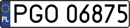 PGO06875