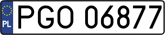 PGO06877