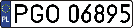 PGO06895