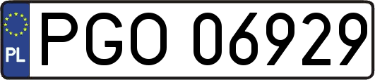 PGO06929
