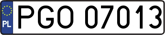PGO07013