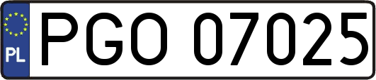 PGO07025