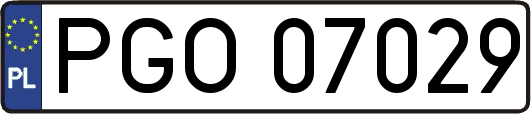 PGO07029