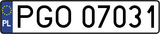 PGO07031