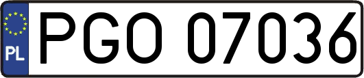 PGO07036