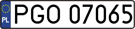 PGO07065