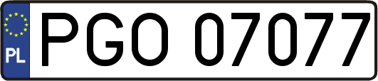 PGO07077