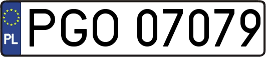 PGO07079