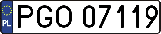 PGO07119