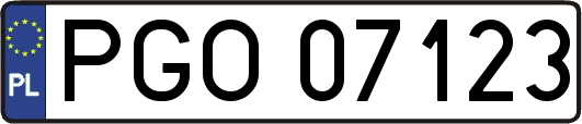 PGO07123