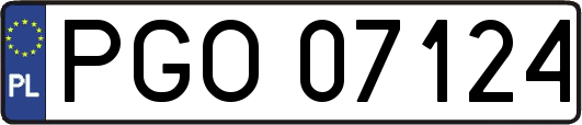 PGO07124