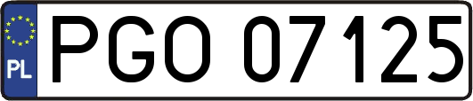 PGO07125