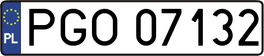 PGO07132