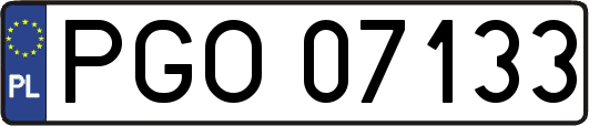 PGO07133