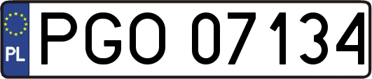 PGO07134
