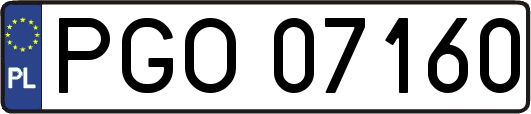 PGO07160