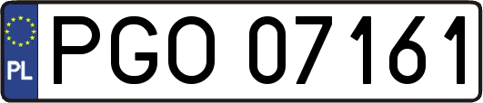 PGO07161