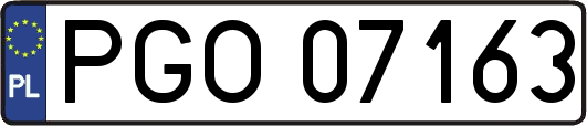 PGO07163