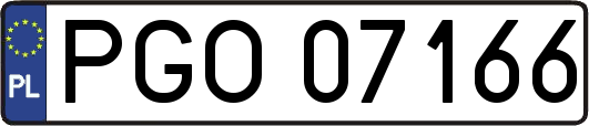 PGO07166