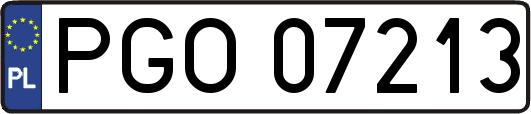 PGO07213