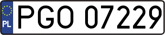PGO07229