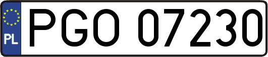 PGO07230
