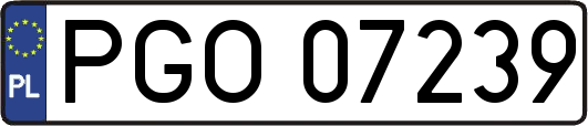 PGO07239