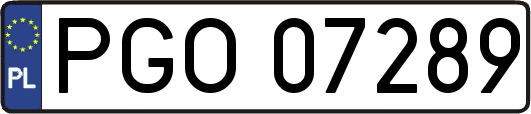 PGO07289