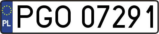 PGO07291