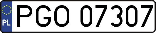 PGO07307