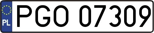 PGO07309