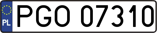PGO07310