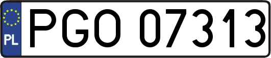 PGO07313