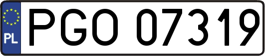 PGO07319