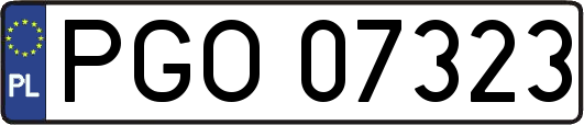 PGO07323