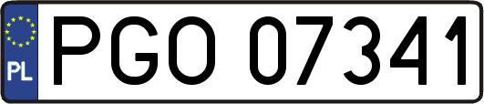 PGO07341