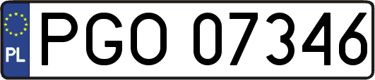 PGO07346