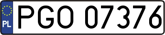 PGO07376