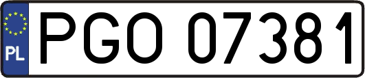 PGO07381