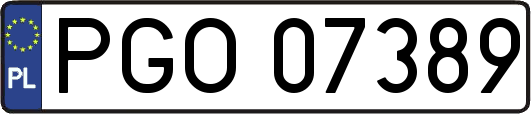 PGO07389