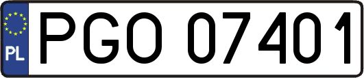 PGO07401