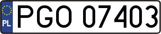 PGO07403