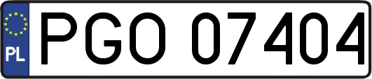 PGO07404
