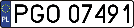 PGO07491