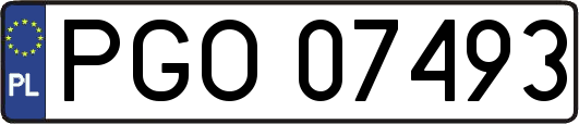 PGO07493